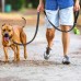 HooBnas Night Reflective Pet Leash – Safety Leash with High-Visibility Reflective Strips